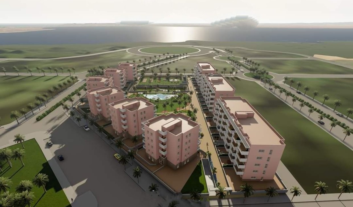 Obra nueva - Planta baja - Guardamar del Segura - EL RASO