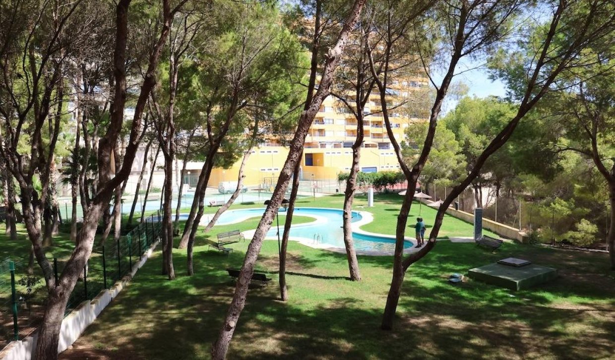 Alquiler - Apartamento  - Orihuela Costa - Altos de Campoamor