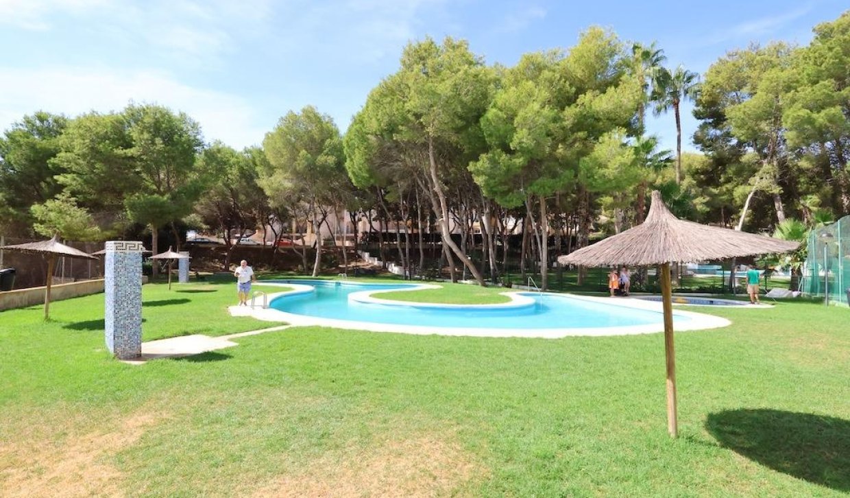 Alquiler - Apartamento  - Orihuela Costa - Altos de Campoamor