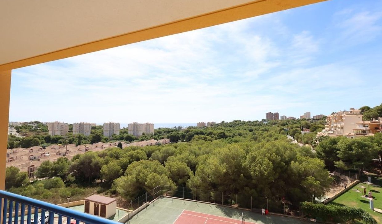Alquiler - Apartamento  - Orihuela Costa - Altos de Campoamor