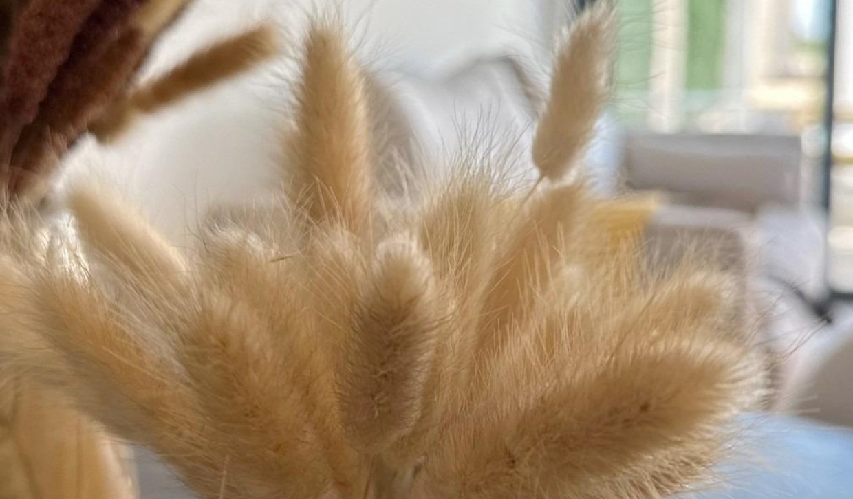 Nouvelle construction - Bungalow - San Fulgencio - Pueblo