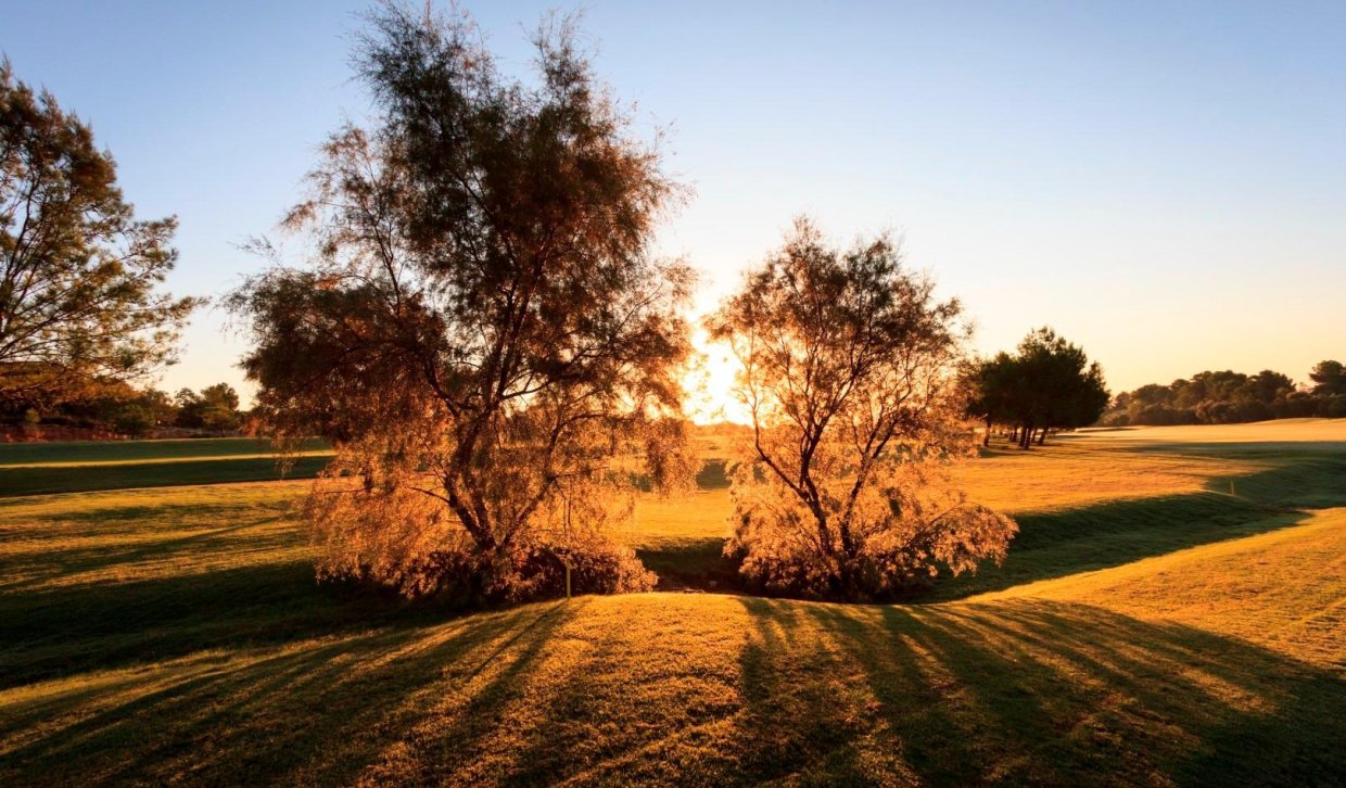 Obra nueva - Villa - Pilar de la Horadada - Lo Romero Golf