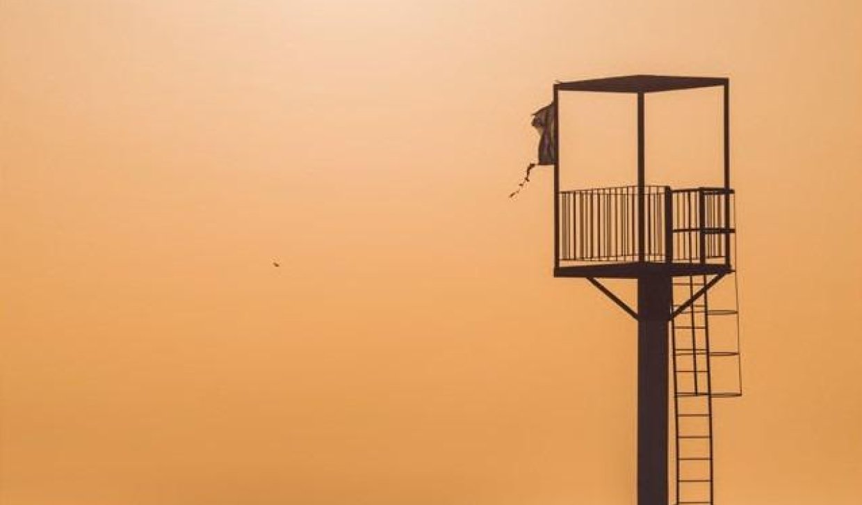 Nowy budynek - Mieszkanie w bloku - Almerimar