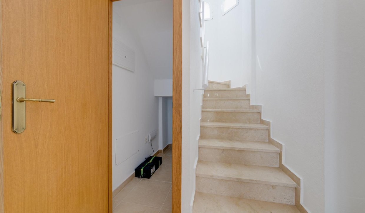 Obra nueva - Semidetached - San Fulgencio - El Oasis