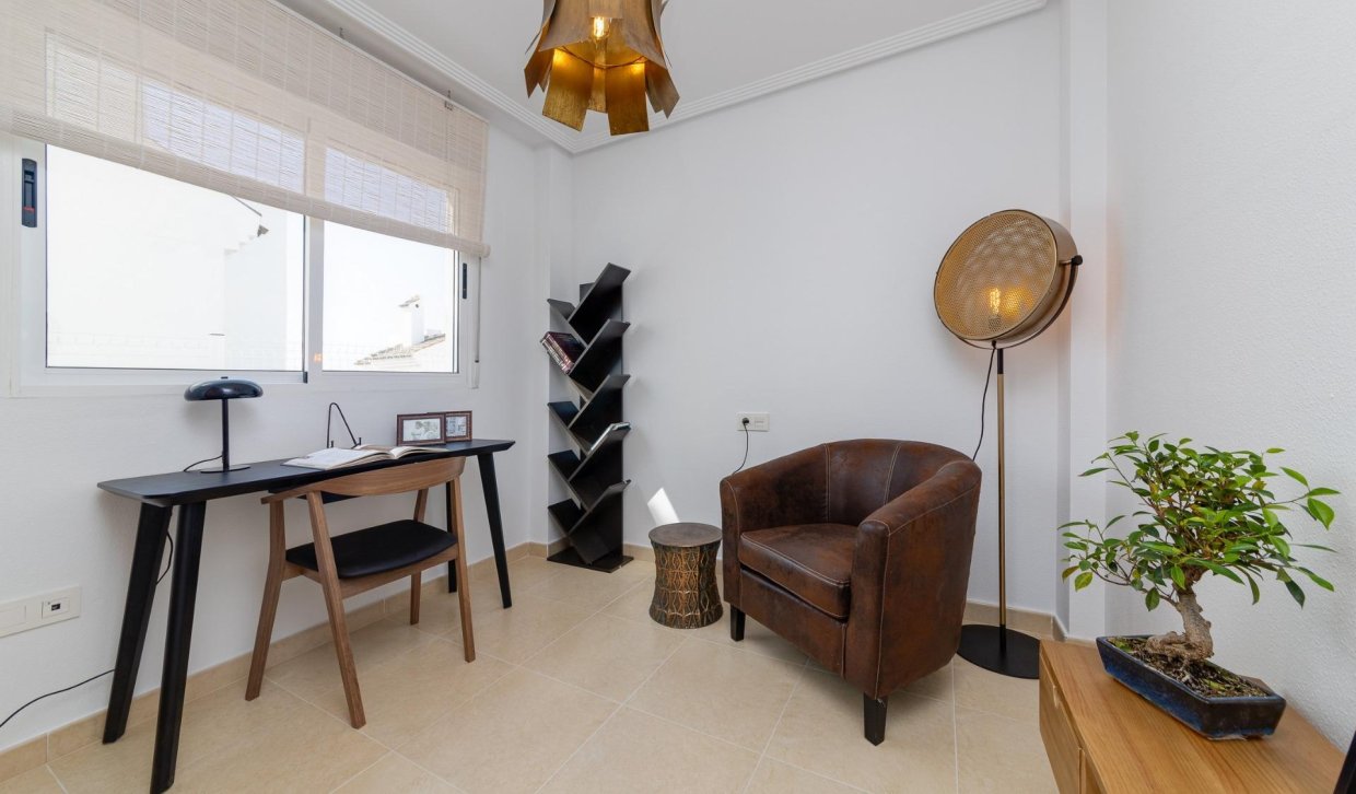 Obra nueva - Semidetached - San Fulgencio - El Oasis