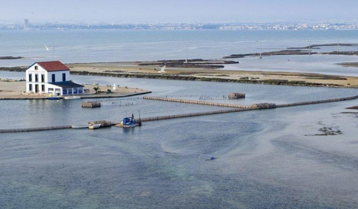 Nouvelle construction - Villa - San Pedro del Pinatar - CENTRO