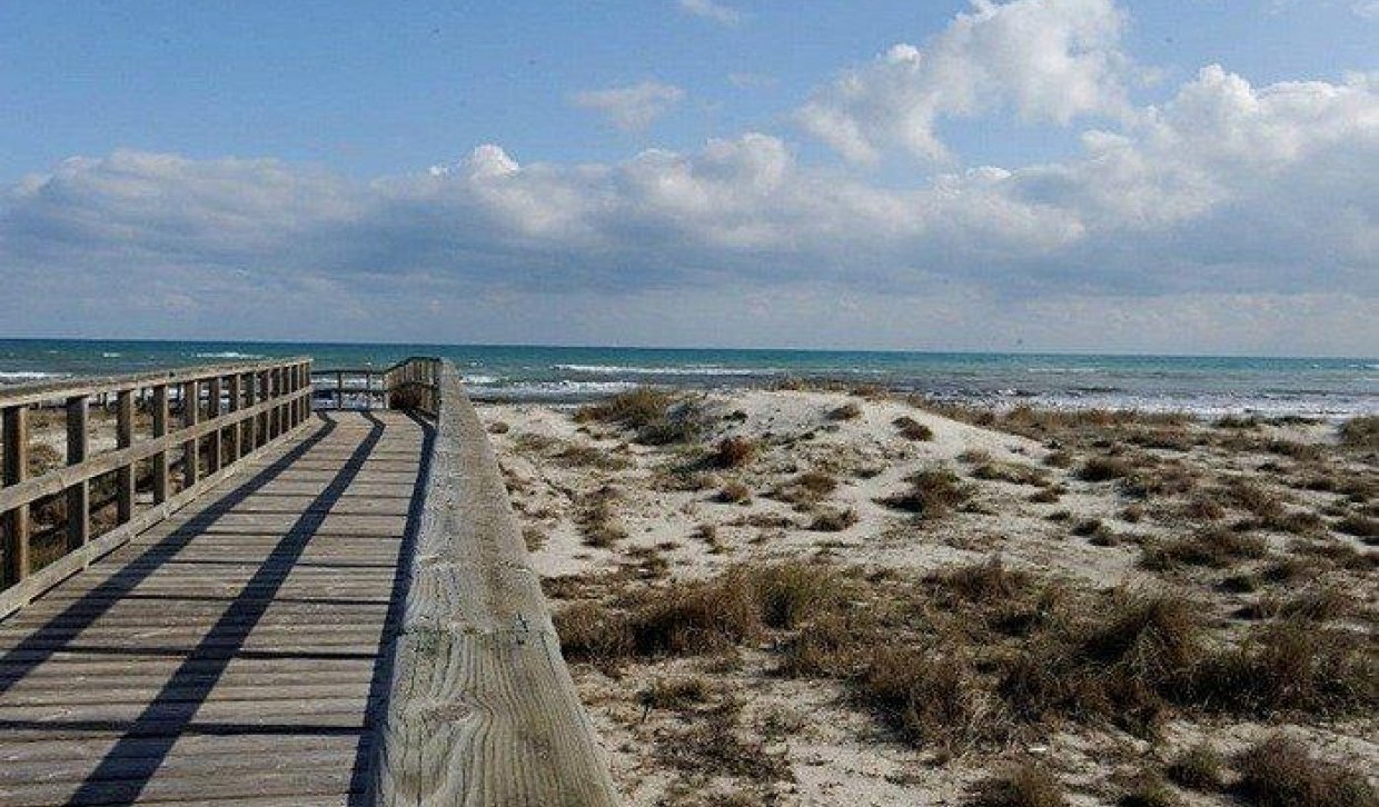 Nouvelle construction - Villa - San Pedro del Pinatar - CENTRO