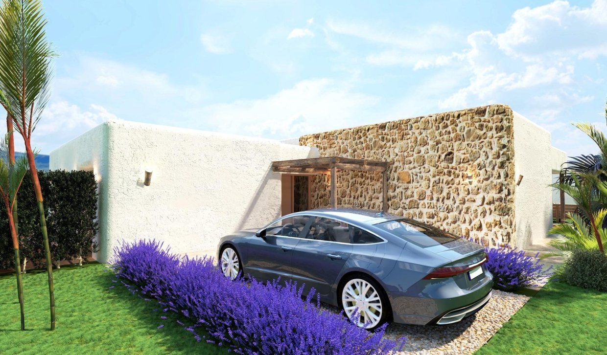 Nouvelle construction - Villa - Pinoso - Rodriguillo