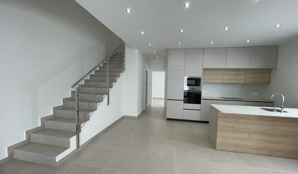 Nouvelle construction - Villa - Almoradí - Heredades