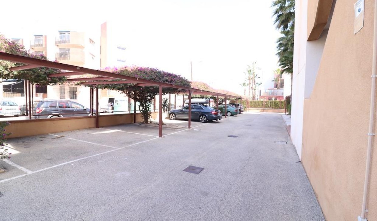 Alquiler - Apartamento  - Orihuela Costa - Cabo Roig