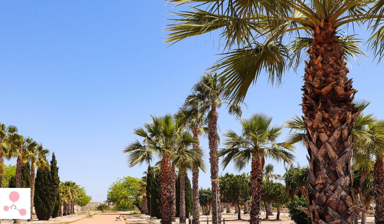 Obra nueva - Villa - San Fulgencio - La Escuera