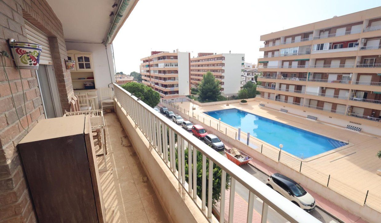 Segunda Mano - Apartamento  - Torrevieja - Punta prima
