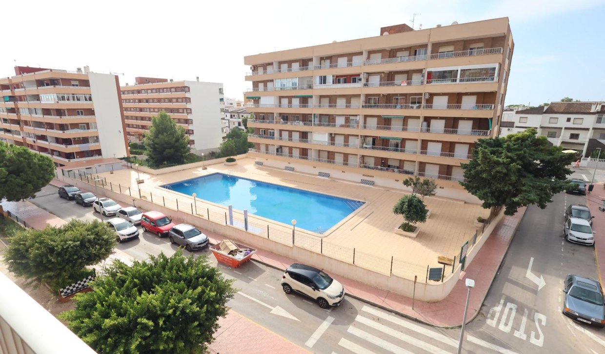 Segunda Mano - Apartamento  - Torrevieja - Punta prima