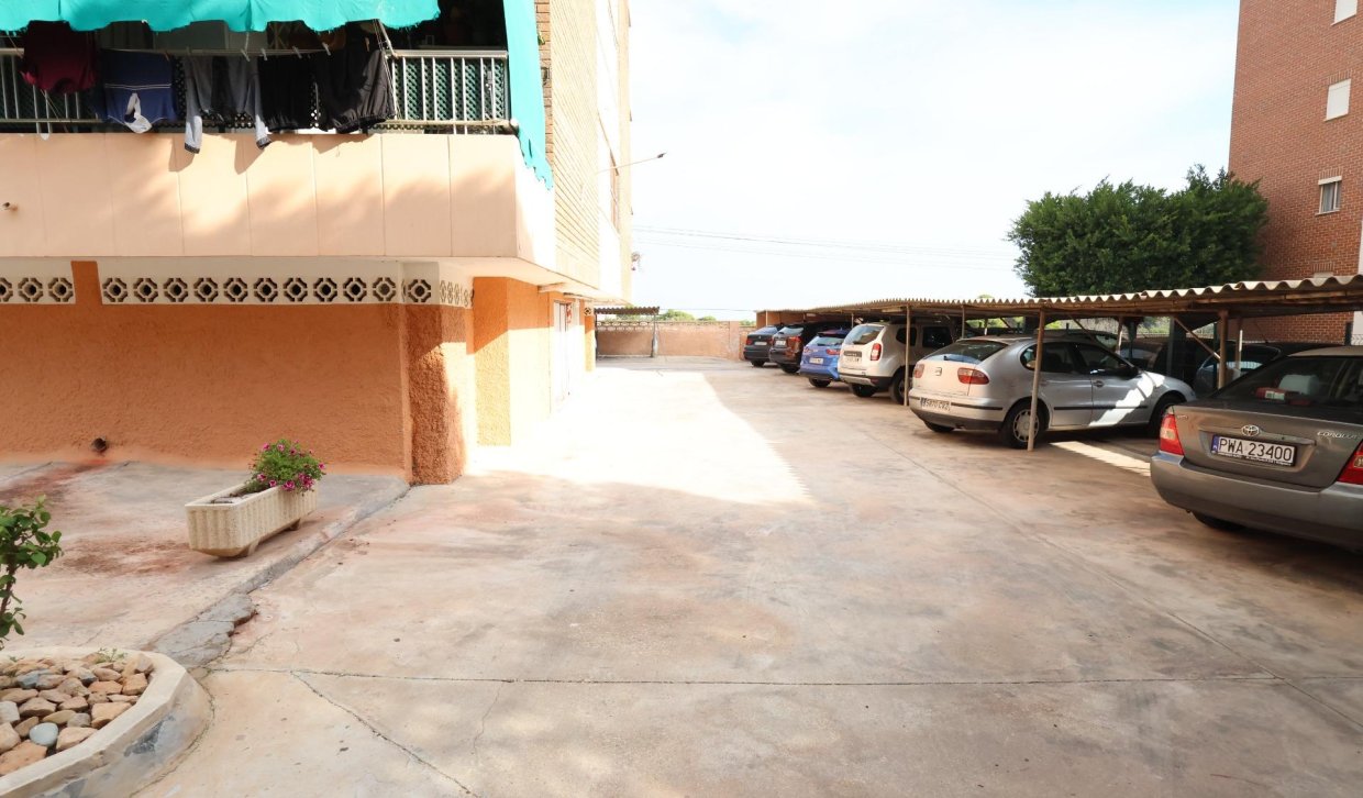 Segunda Mano - Apartamento  - Torrevieja - Punta prima