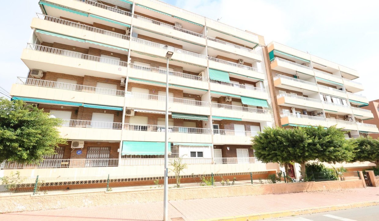 Segunda Mano - Apartamento  - Torrevieja - Punta prima