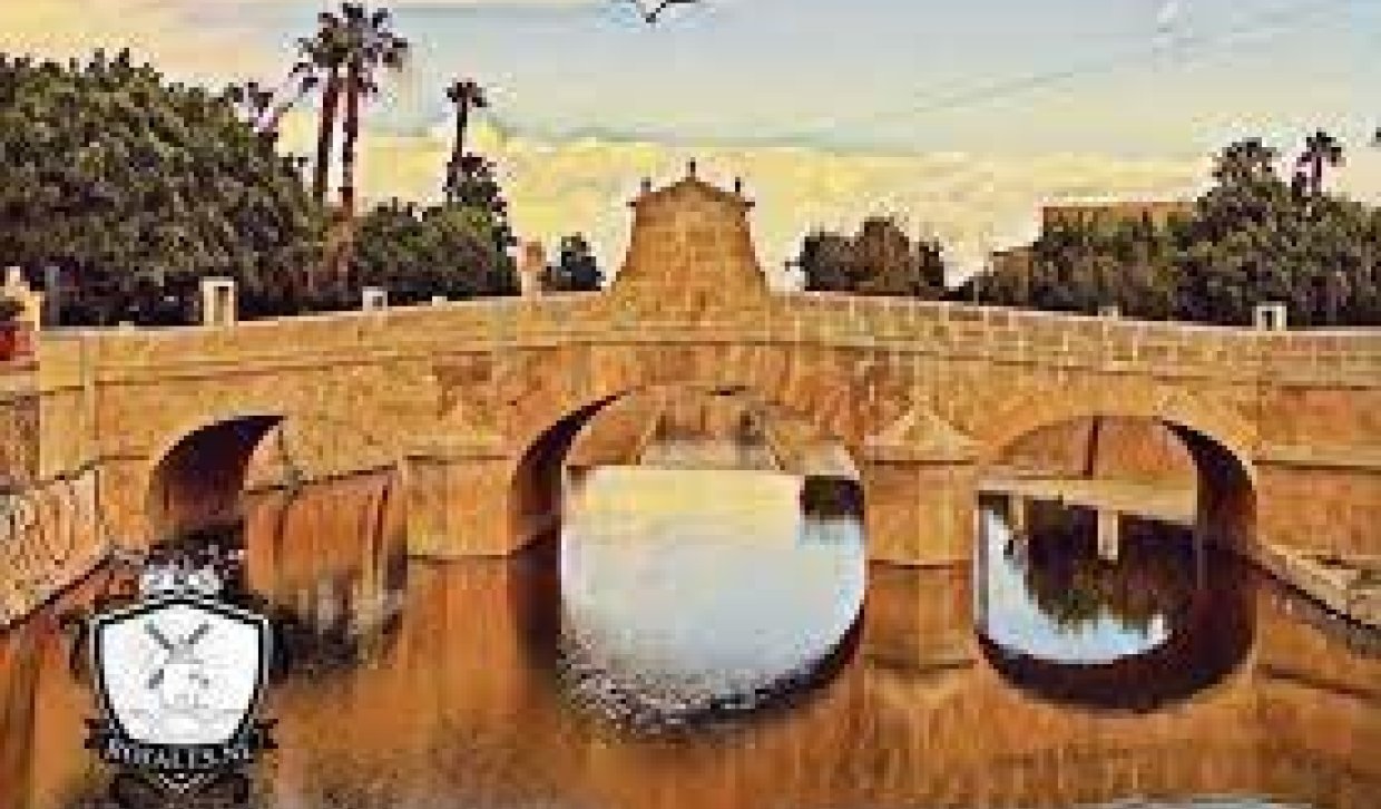 Revente - Solaire - Rojales - Centro