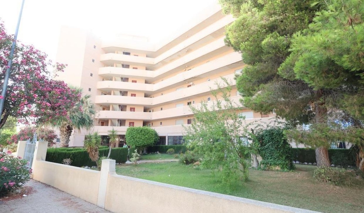 Segunda Mano - Local comercial - Orihuela Costa - La Zenia