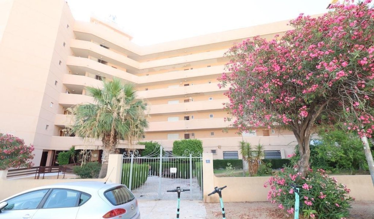 Segunda Mano - Local comercial - Orihuela Costa - La Zenia