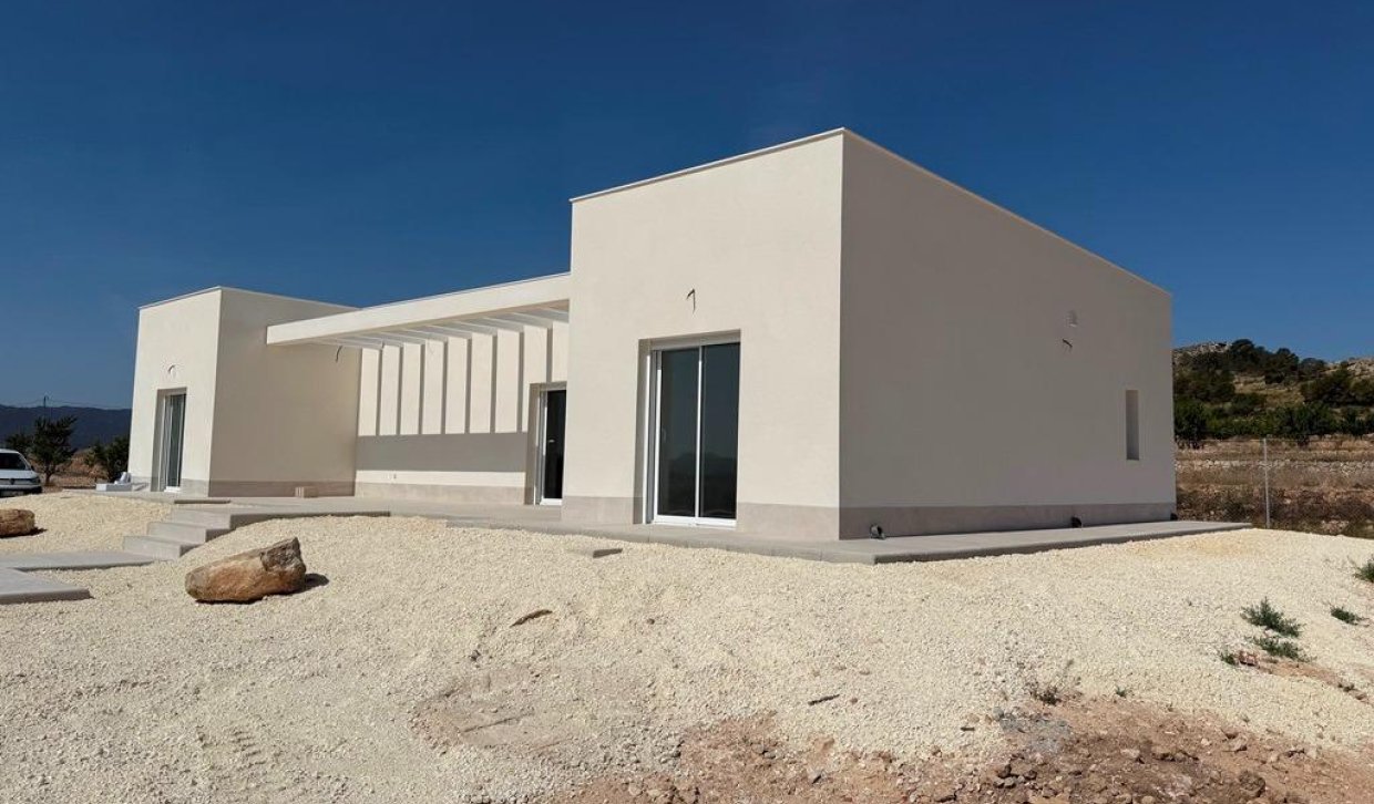Nowy budynek - Villa - Pinoso - Camino Del Prado