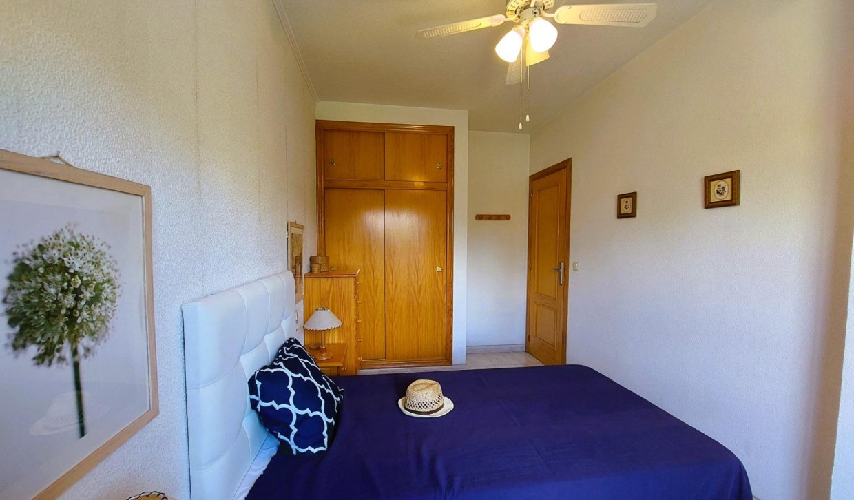 Alquiler - Apartamento  - Torrevieja - Acequion
