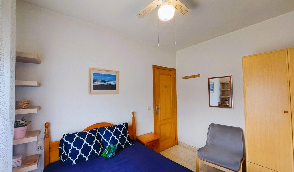 Alquiler - Apartamento  - Torrevieja - Acequion