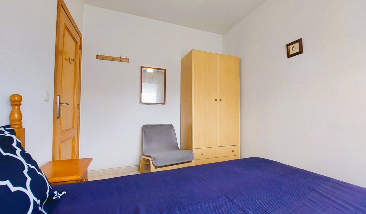 Alquiler - Apartamento  - Torrevieja - Acequion