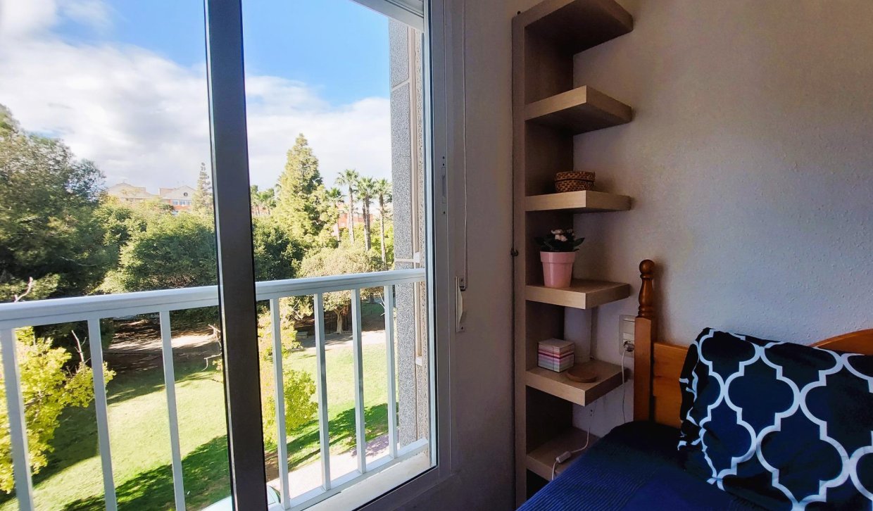 Alquiler - Apartamento  - Torrevieja - Acequion