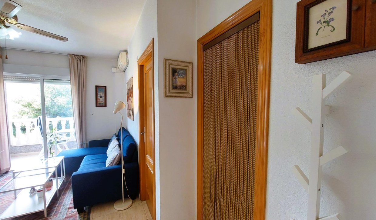 Alquiler - Apartamento  - Torrevieja - Acequion