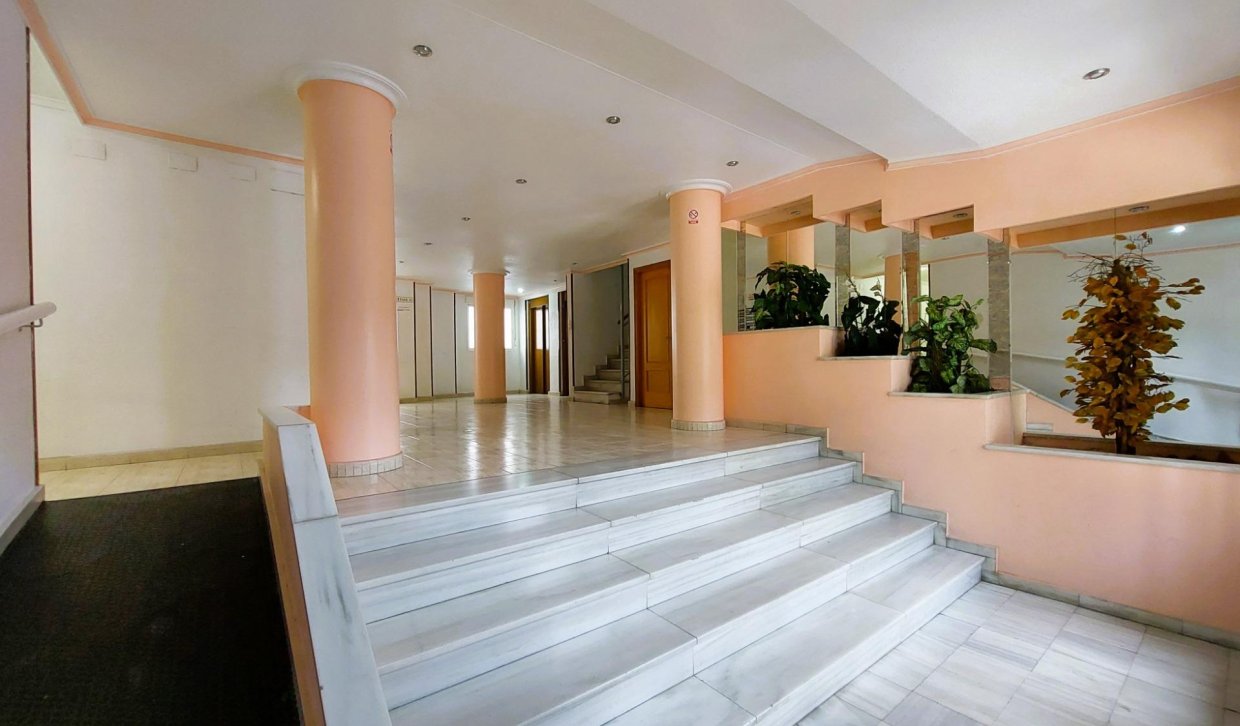 Alquiler - Apartamento  - Torrevieja - Acequion