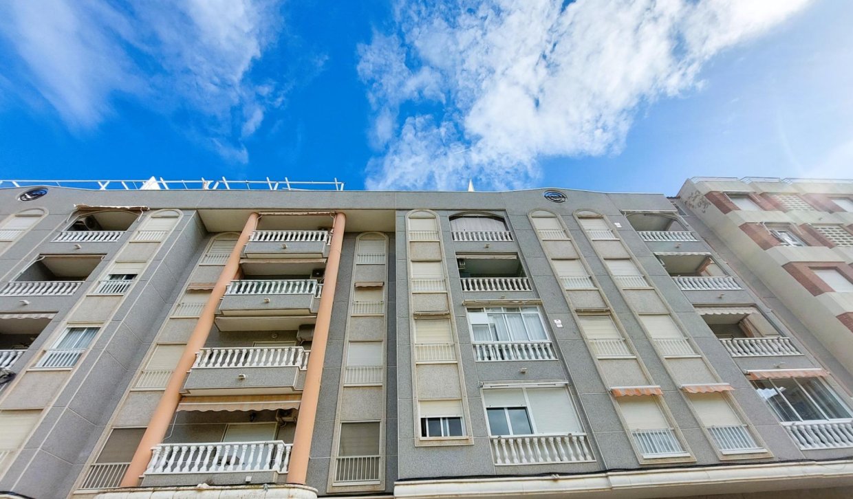 Alquiler - Apartamento  - Torrevieja - Acequion