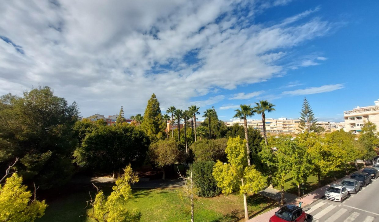 Alquiler - Apartamento  - Torrevieja - Acequion