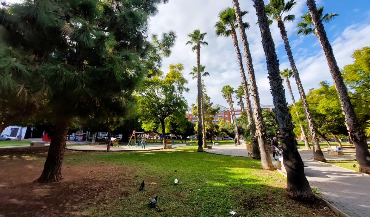 Alquiler - Apartamento  - Torrevieja - Acequion