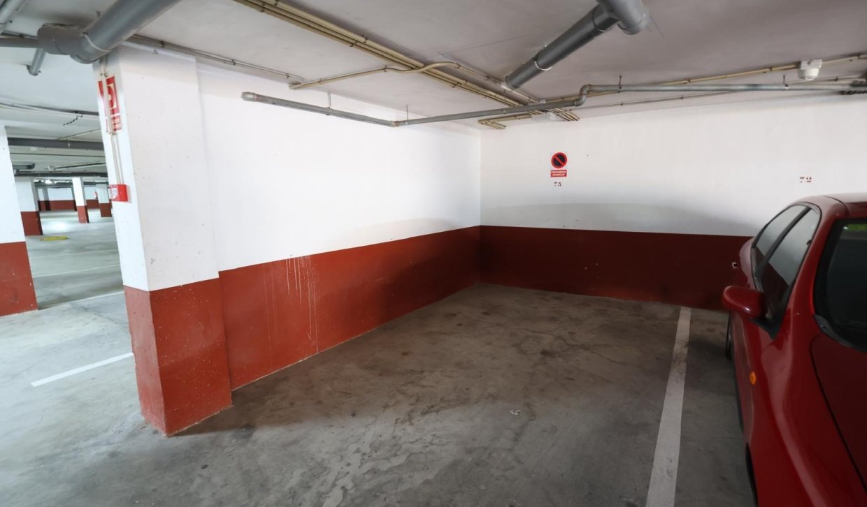 Alquiler - Apartamento  - Campoamor - Orihuela costa