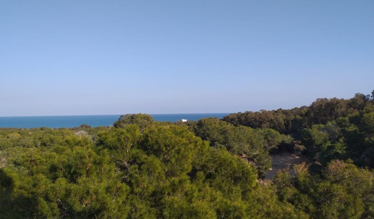 Obra nueva - Apartamento  - Guardamar del Segura - Pueblo