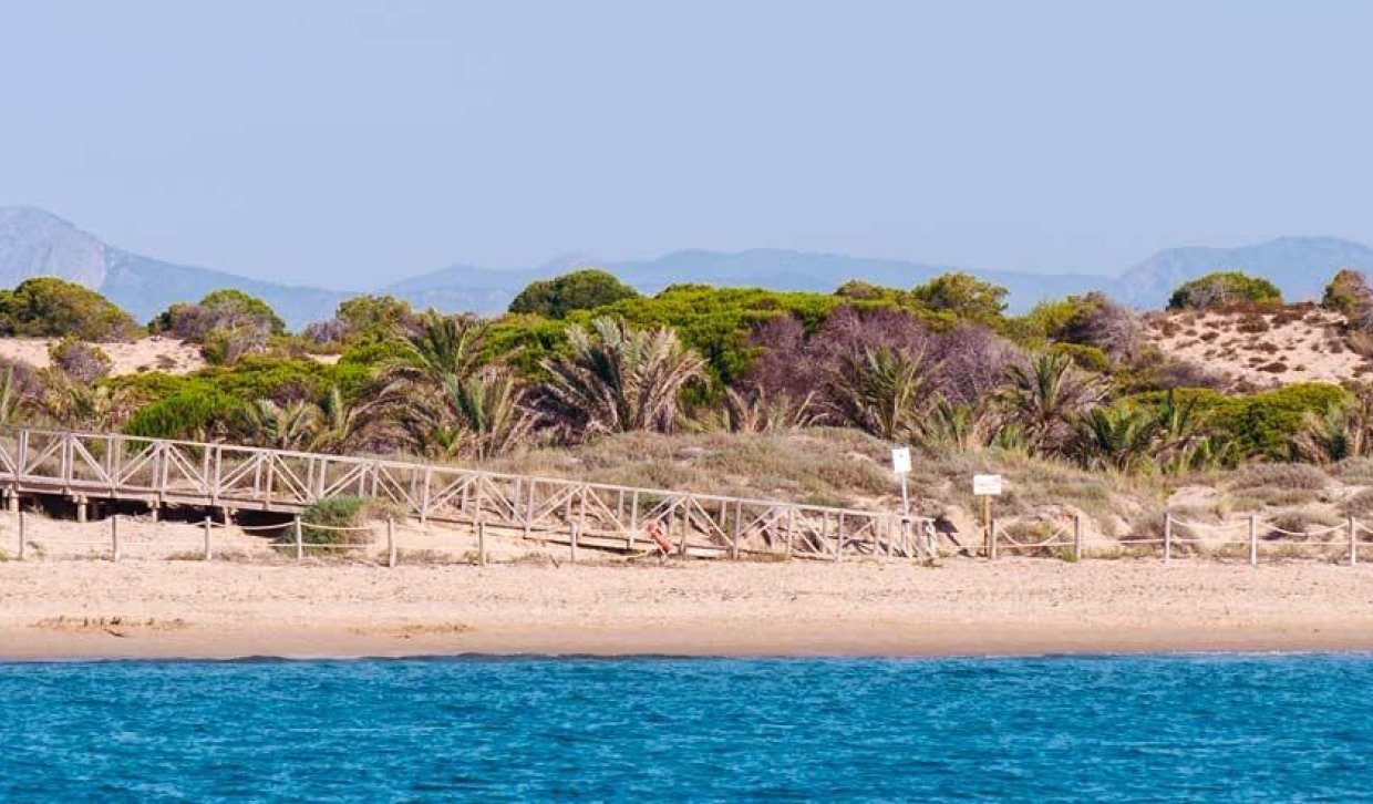 Nouvelle construction - rez-de-chaussée - Guardamar del Segura - Pueblo