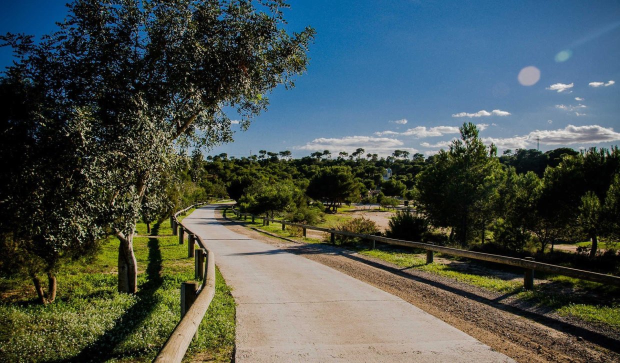 Obra nueva - Villa - Rojales - Doña Pepa