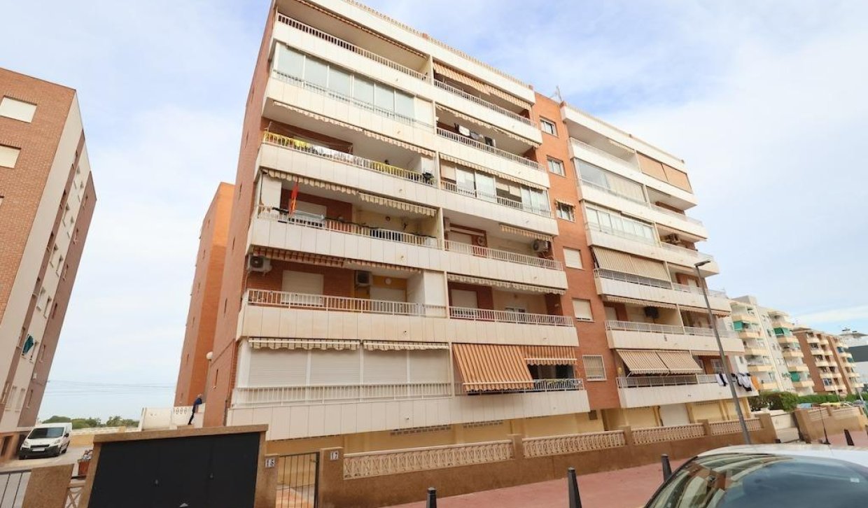 Verhuur - Appartement  - Torrevieja - Punta prima