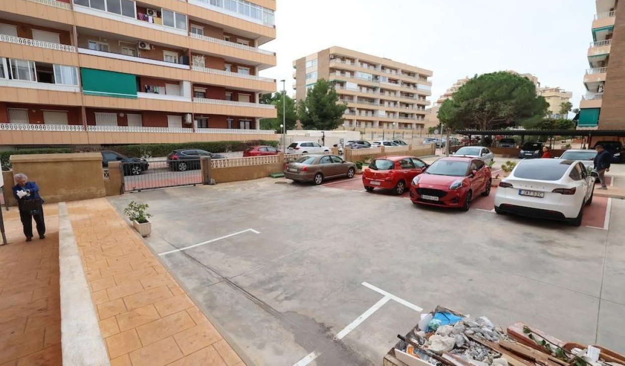 Rental - Apartment  - Torrevieja - Punta prima