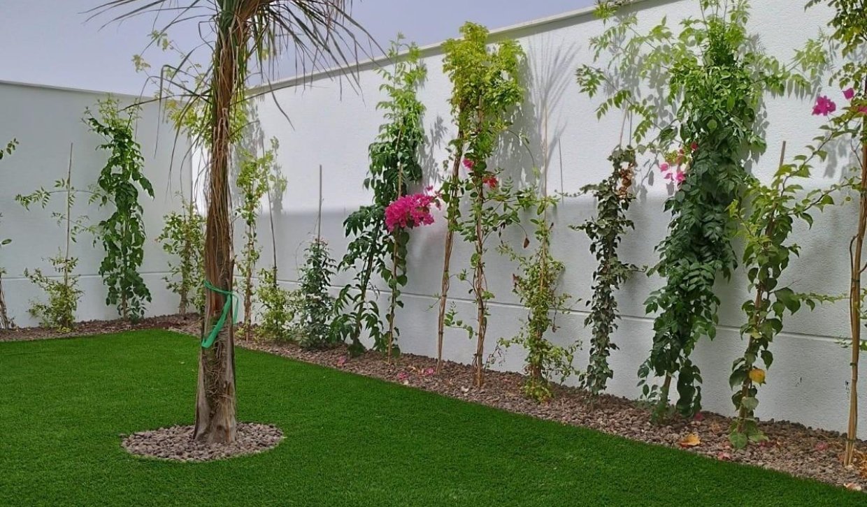 Obra nueva - Semidetached - San Javier - Parque del doce