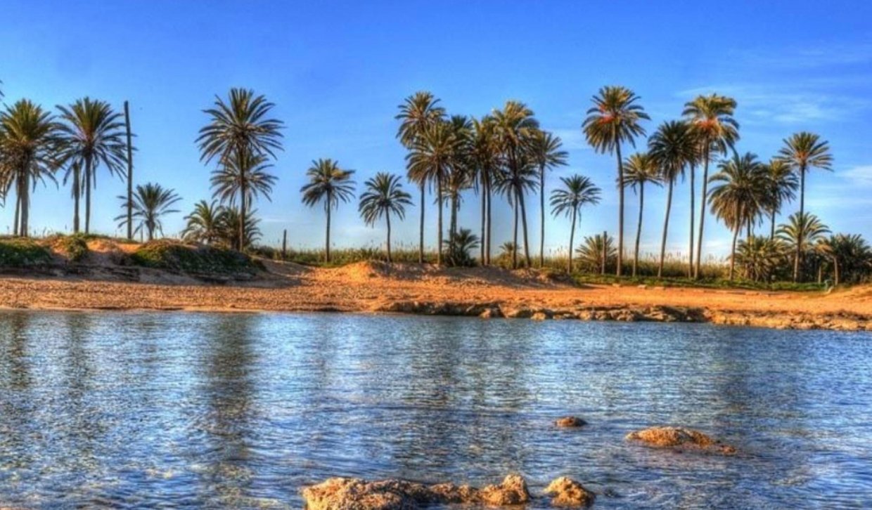 Obra nueva - Ático - Torrevieja - Playa de El Cura