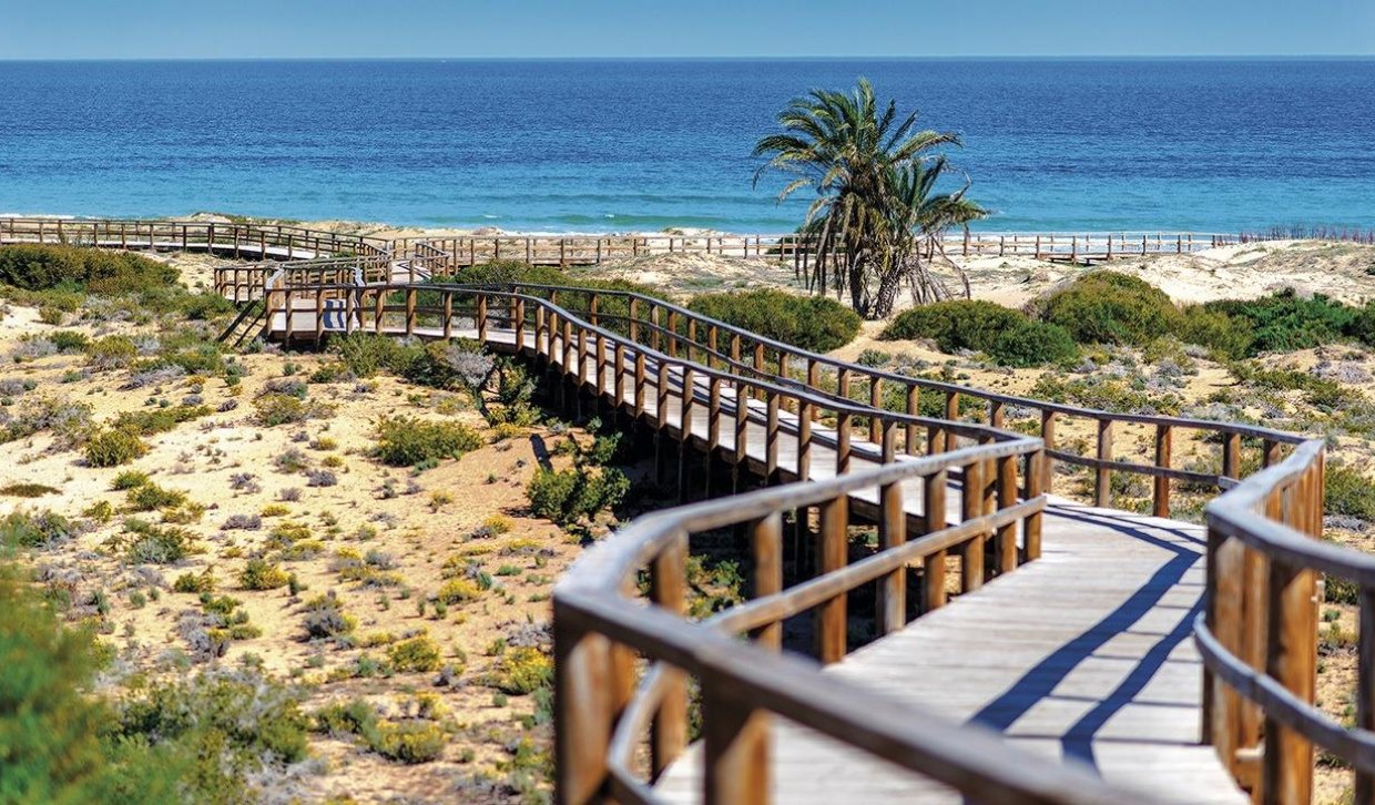 Nieuwbouw Woningen - Penthouse - Monforte del Cid - Alenda Golf