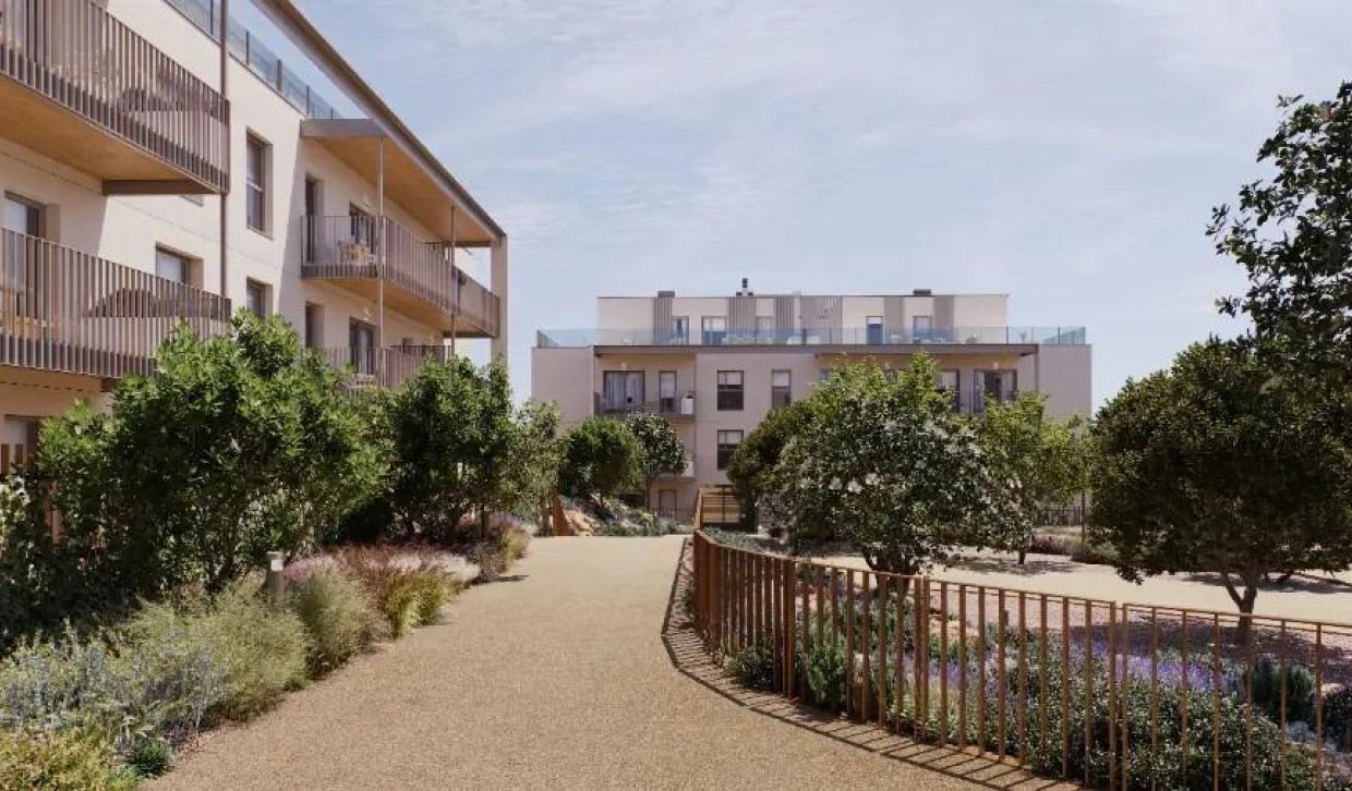 Obra nueva - Apartamento  - Godella - Campolivar