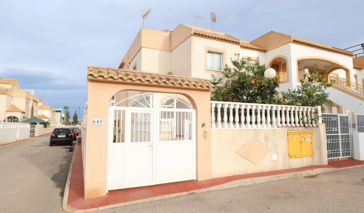 Segunda Mano - Adosado - Torrevieja - El limonar