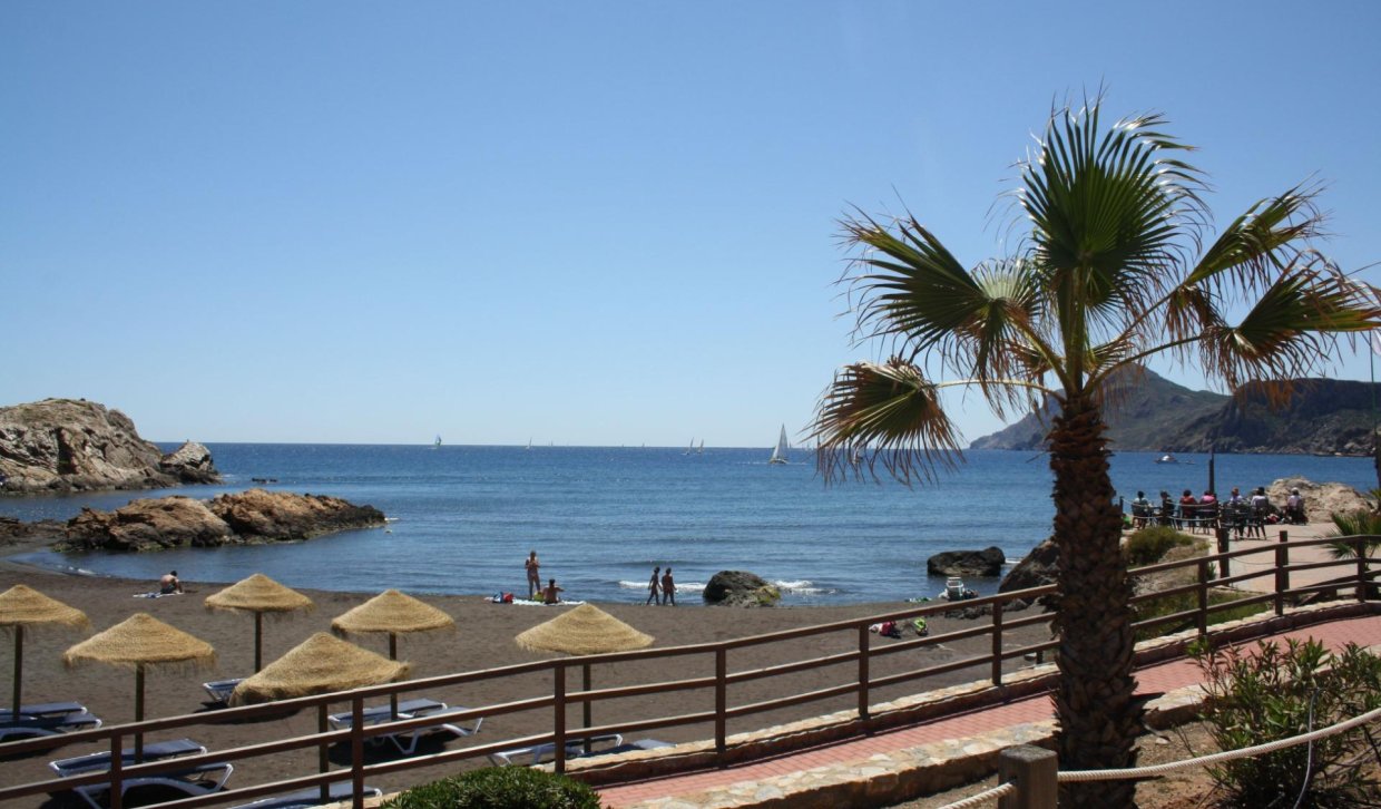 Obra nueva - Adosado - La Union - centro