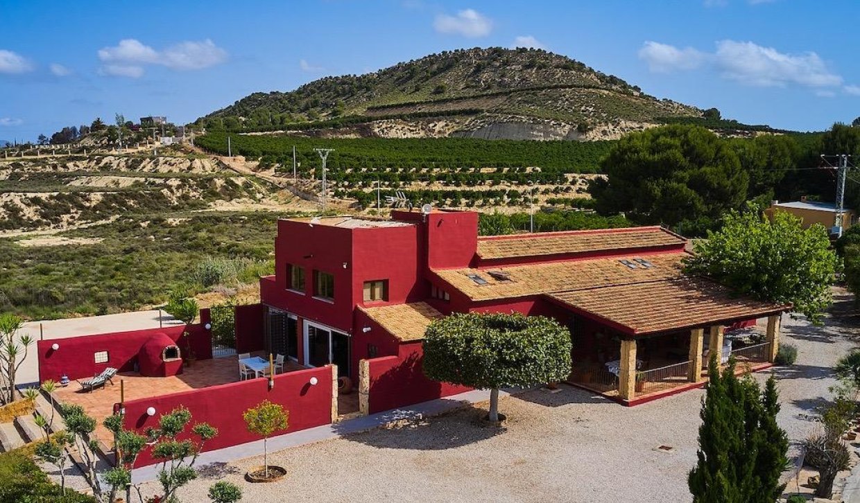 Segunda Mano - Finca rústica - Orihuela - Torremendo