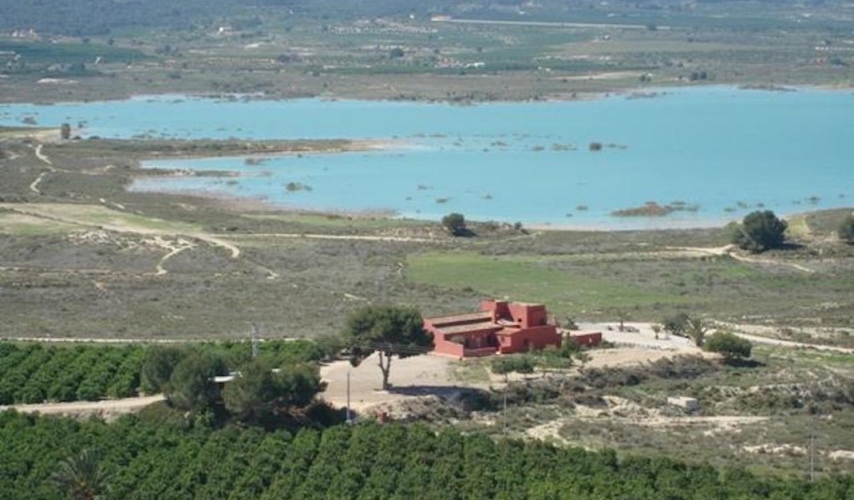 Segunda Mano - Finca rústica - Orihuela - Torremendo