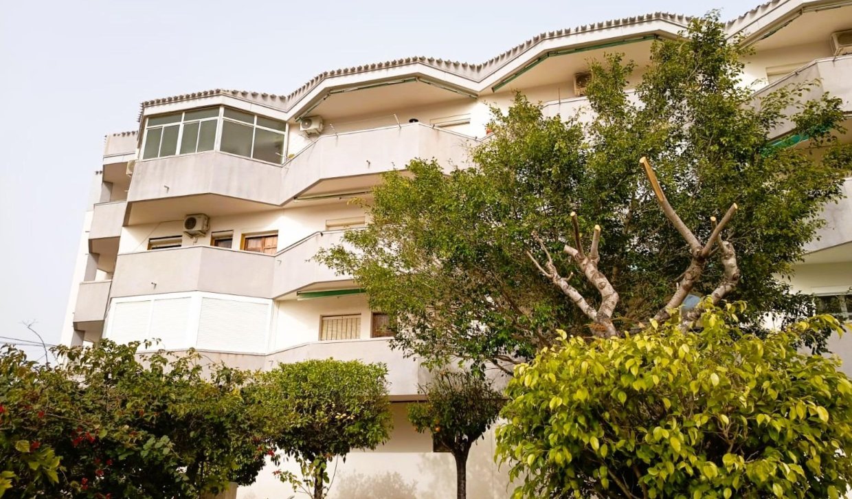 Segunda Mano - Apartamento  - Orihuela Costa - La Regia