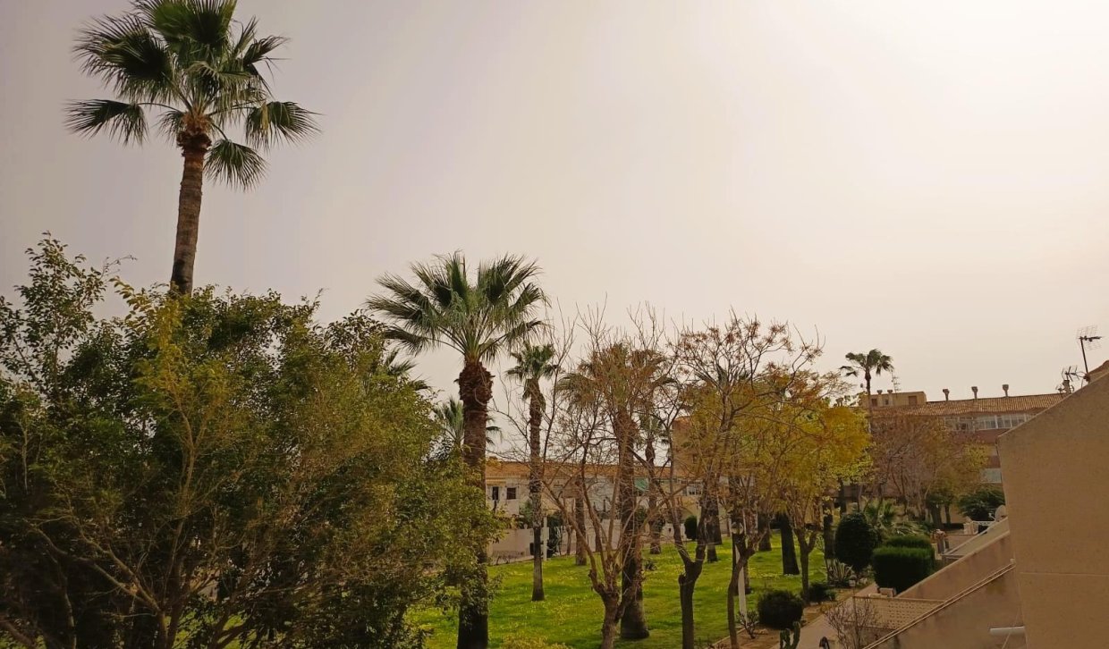 Segunda Mano - Apartamento  - Orihuela Costa - La Regia