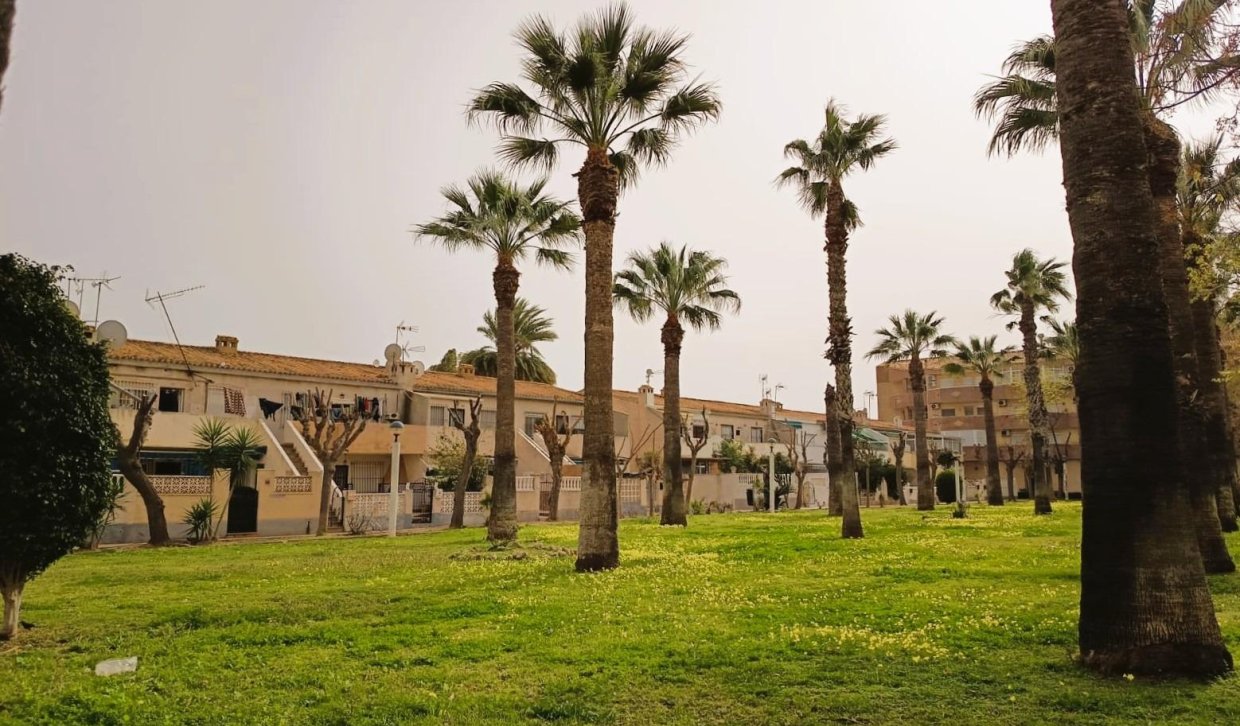 Segunda Mano - Apartamento  - Orihuela Costa - La Regia