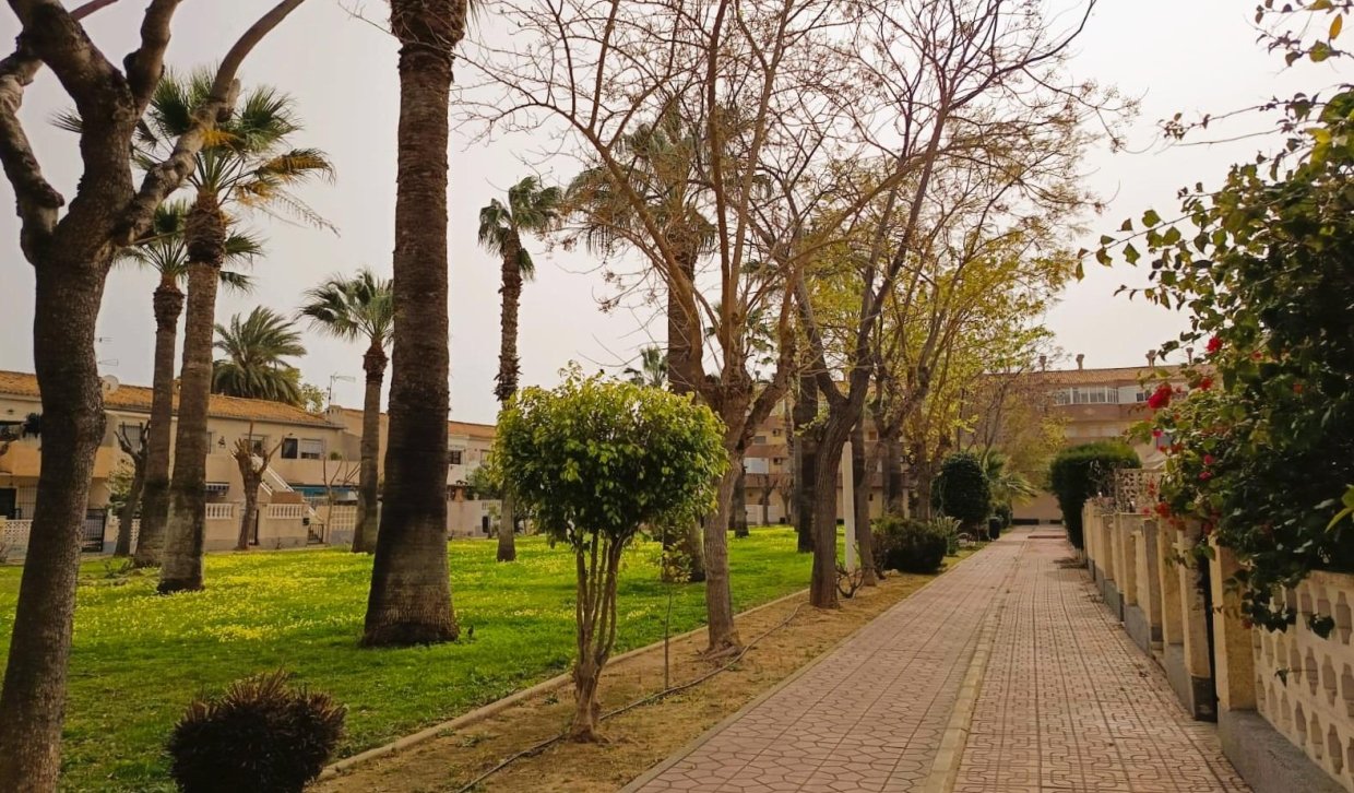 Segunda Mano - Apartamento  - Orihuela Costa - La Regia